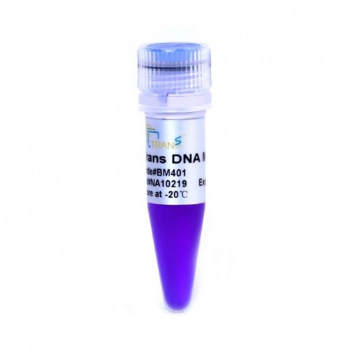SafeShine DNA Stain
