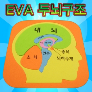 EVA 두뇌구조 퍼즐